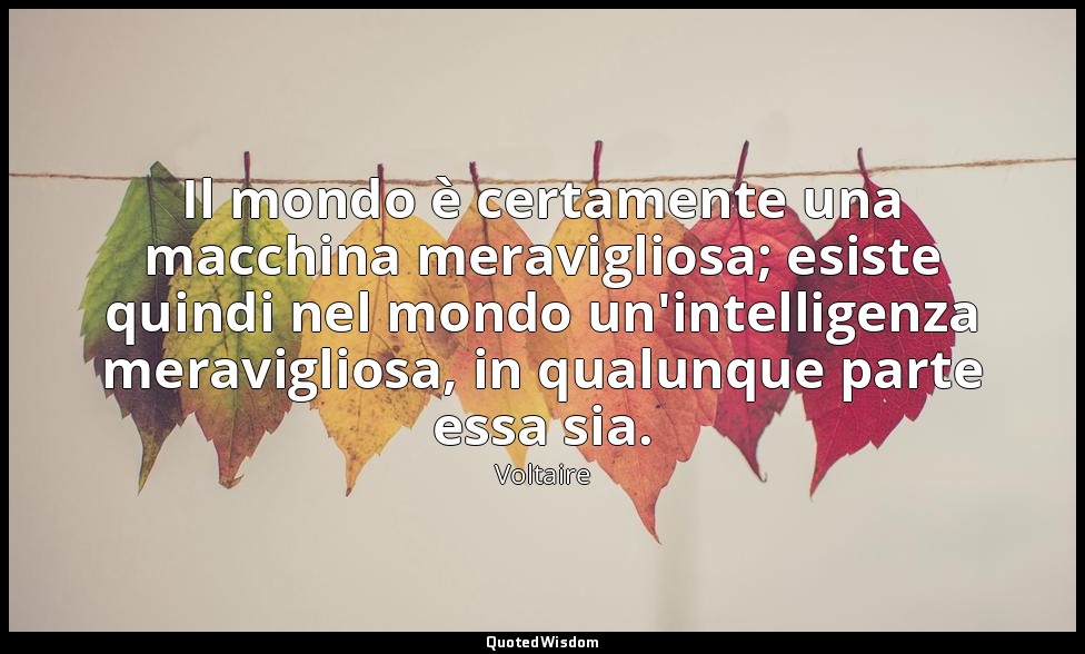 Il mondo è certamente una macchina meravigliosa; esiste quindi nel mondo un'inte — Voltaire