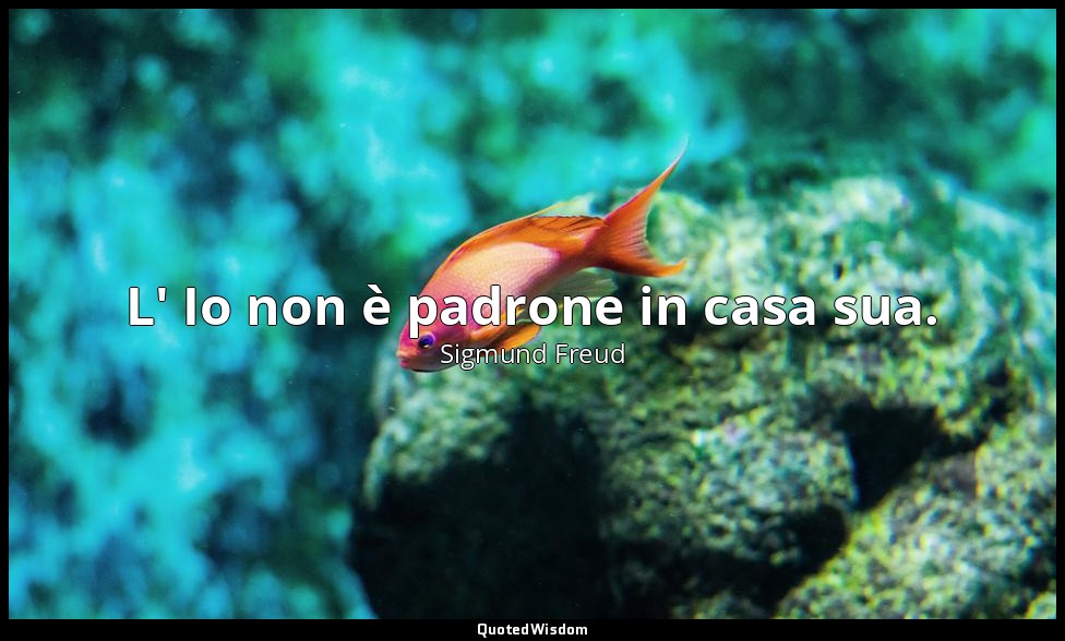 L' Io non è padrone in casa sua. — Sigmund Freud