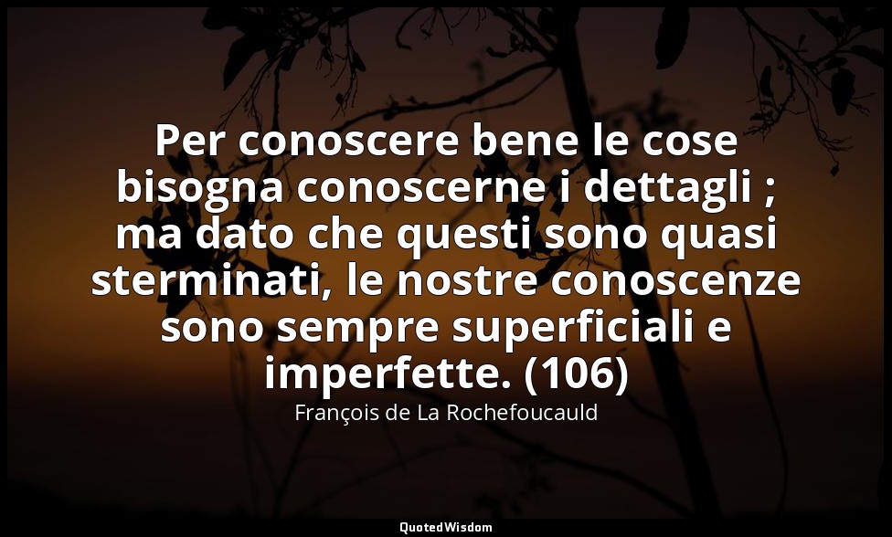Per conoscere bene le cose bisogna conoscerne i dettagli ; ma dato che questi so — François de La Rochefoucauld
