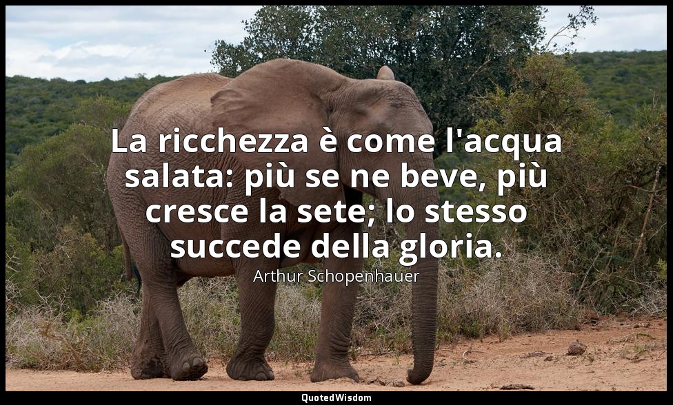 La ricchezza è come l'acqua salata: più se ne beve, più cresce la sete; lo stess — Arthur Schopenhauer