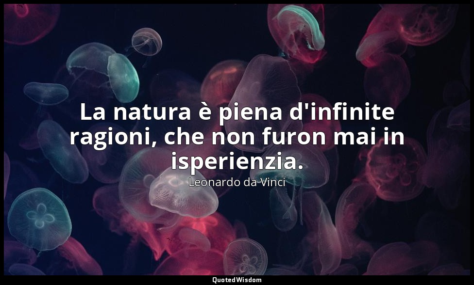 La natura è piena d'infinite ragioni, che non furon mai in isperienzia. — Leonardo da Vinci