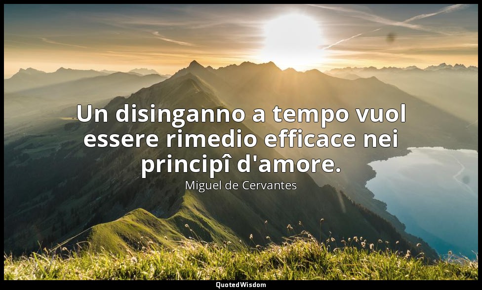Un disinganno a tempo vuol essere rimedio efficace nei principî d'amore. — Miguel de Cervantes