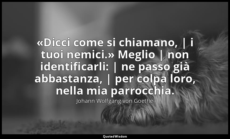 «Dicci come si chiamano, | i tuoi nemici.» Meglio | non identificarli: | ne pass — Johann Wolfgang von Goethe