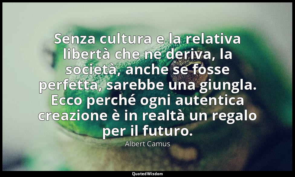 Senza cultura e la relativa libertà che ne deriva, la società, anche se fosse pe — Albert Camus