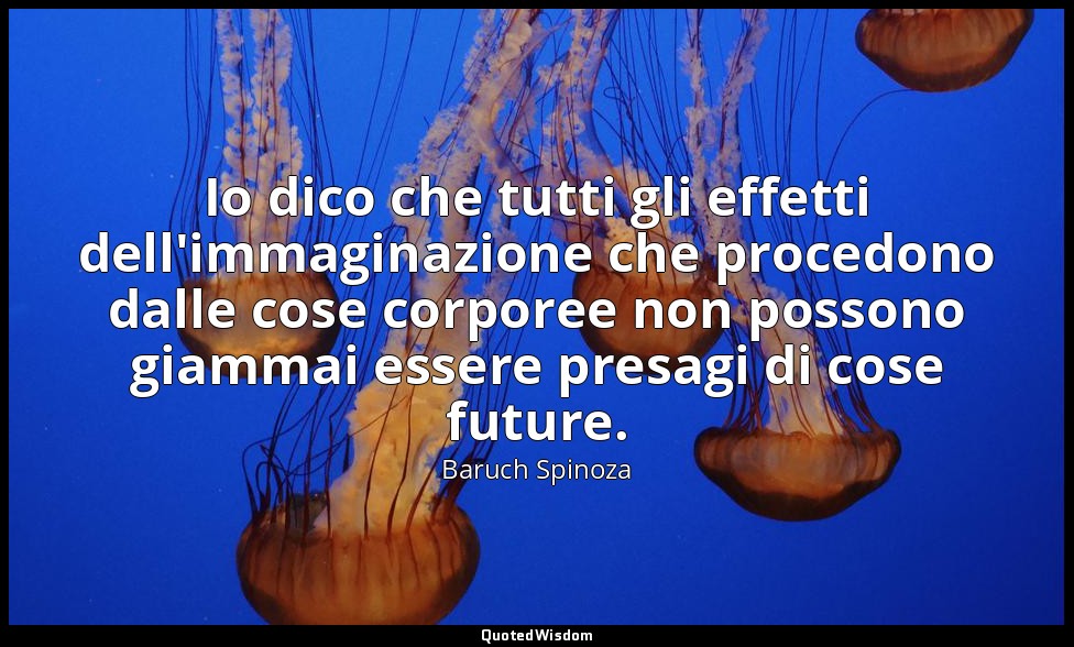 Io dico che tutti gli effetti dell'immaginazione che procedono dalle cose corpor — Baruch Spinoza
