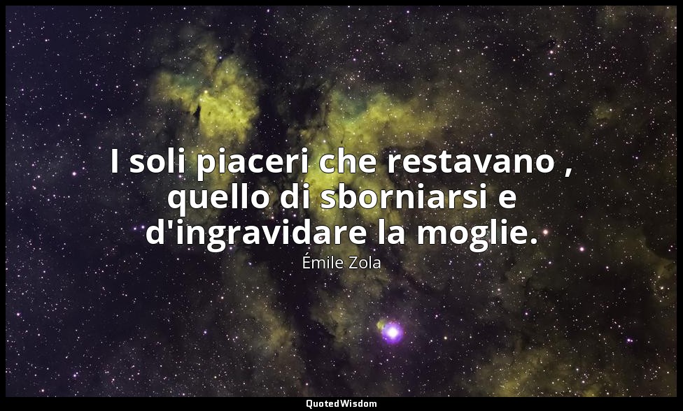 I soli piaceri che restavano , quello di sborniarsi e d'ingravidare la moglie. — Émile Zola