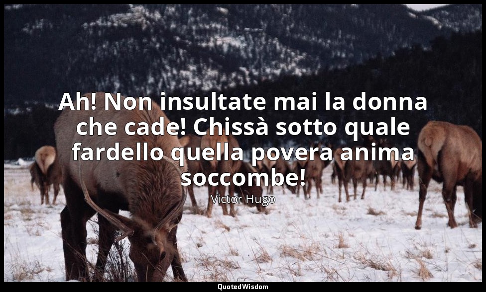 Ah! Non insultate mai la donna che cade! Chissà sotto quale fardello quella pove — Victor Hugo