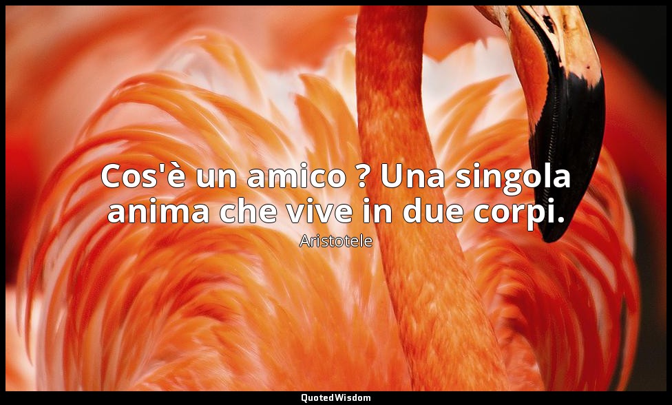 Cos'è un amico ? Una singola anima che vive in due corpi. — Aristotele