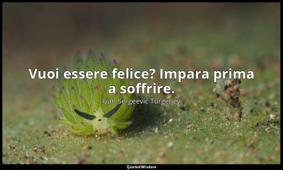 Vuoi essere felice? Impara prima a soffrire. — Ivan Sergeevič Turgenev