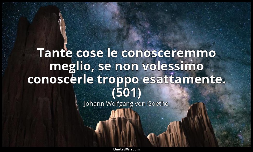Tante cose le conosceremmo meglio, se non volessimo conoscerle troppo esattament — Johann Wolfgang von Goethe