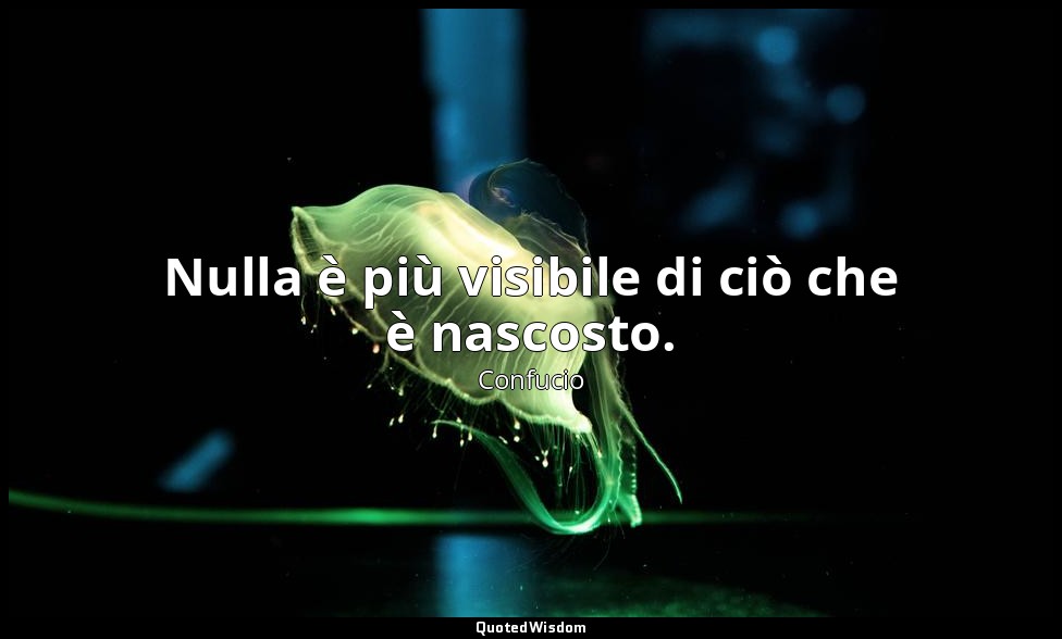 Nulla è più visibile di ciò che è nascosto. — Confucio