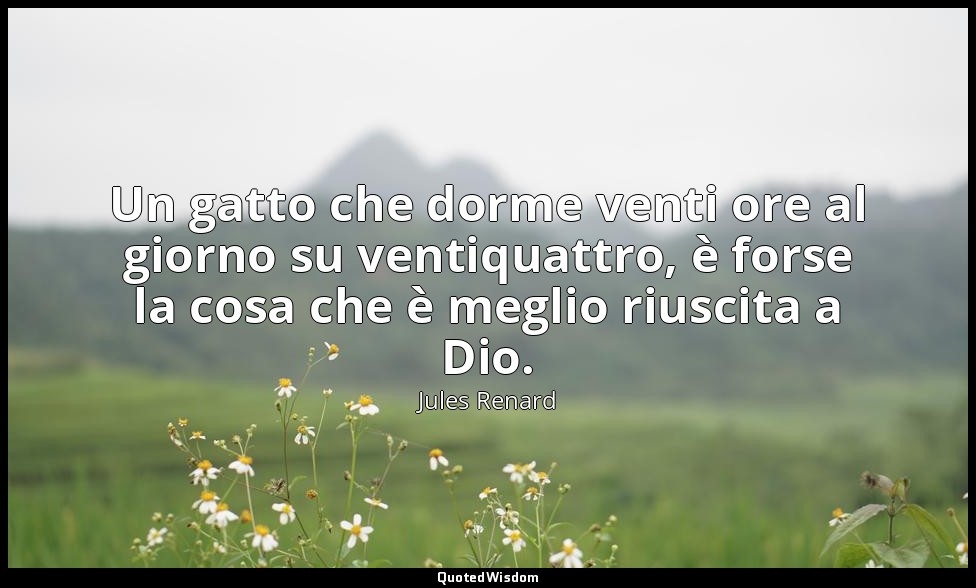 Un gatto che dorme venti ore al giorno su ventiquattro, è forse la cosa che è me — Jules Renard