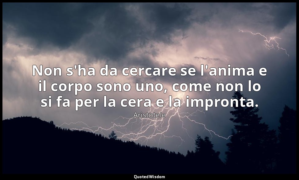Non s'ha da cercare se l'anima e il corpo sono uno, come non lo si fa per la cer — Aristotele