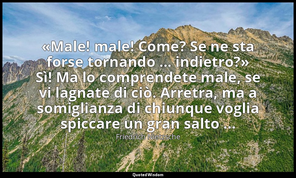«Male! male! Come? Se ne sta forse tornando ... indietro?» Sì! Ma lo comprendete — Friedrich Nietzsche