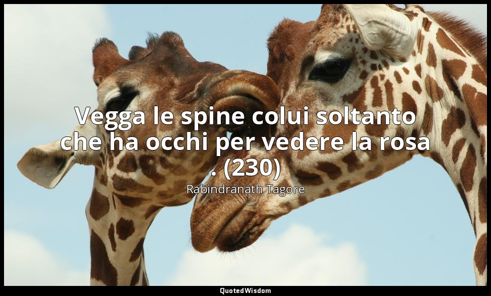 Vegga le spine colui soltanto che ha occhi per vedere la rosa . (230) — Rabindranath Tagore
