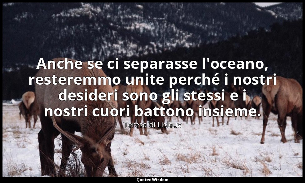 Anche se ci separasse l'oceano, resteremmo unite perché i nostri desideri sono g — Teresa di Lisieux