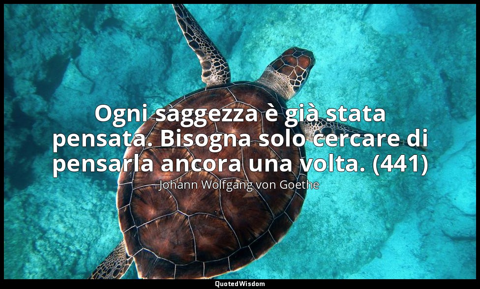 Ogni saggezza è già stata pensata. Bisogna solo cercare di pensarla ancora una v — Johann Wolfgang von Goethe