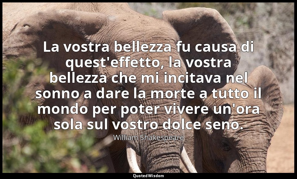 La vostra bellezza fu causa di quest'effetto, la vostra bellezza che mi incitava — William Shakespeare