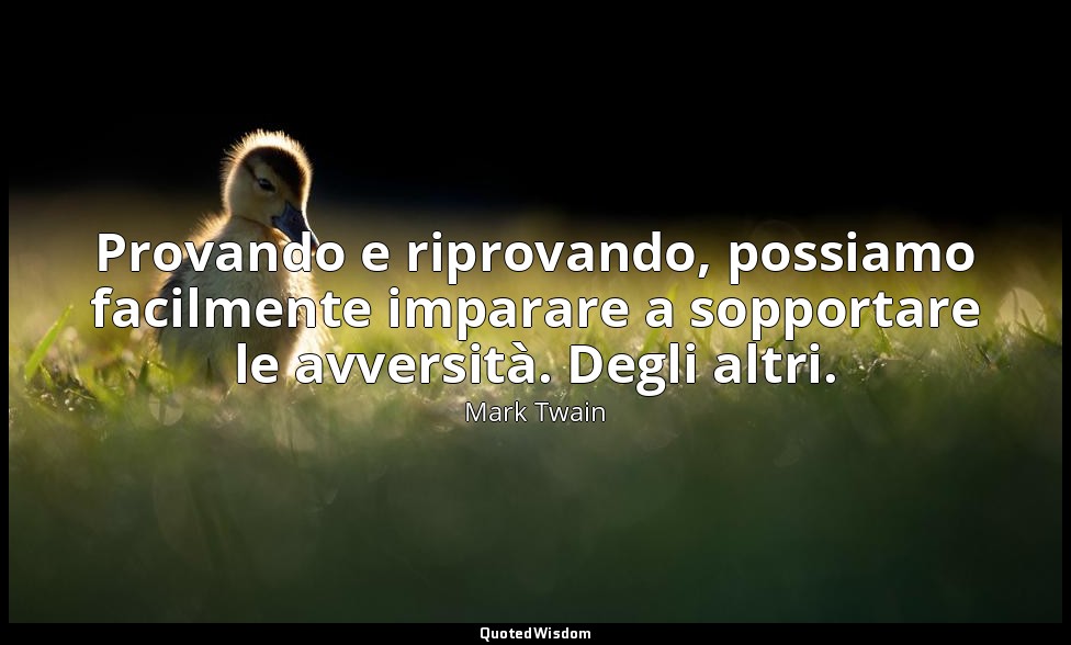Provando e riprovando, possiamo facilmente imparare a sopportare le avversità. D — Mark Twain