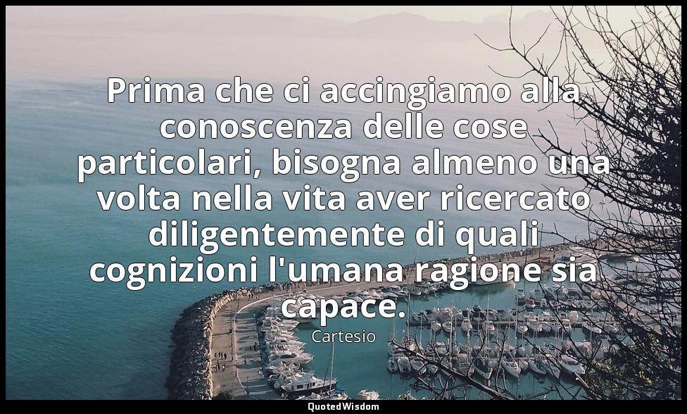 Prima che ci accingiamo alla conoscenza delle cose particolari, bisogna almeno u — Cartesio
