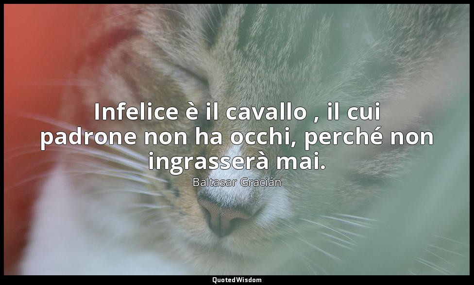 Infelice è il cavallo , il cui padrone non ha occhi, perché non ingrasserà mai.  — Baltasar Gracián