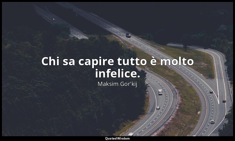 Chi sa capire tutto è molto infelice. — Maksim Gor'kij