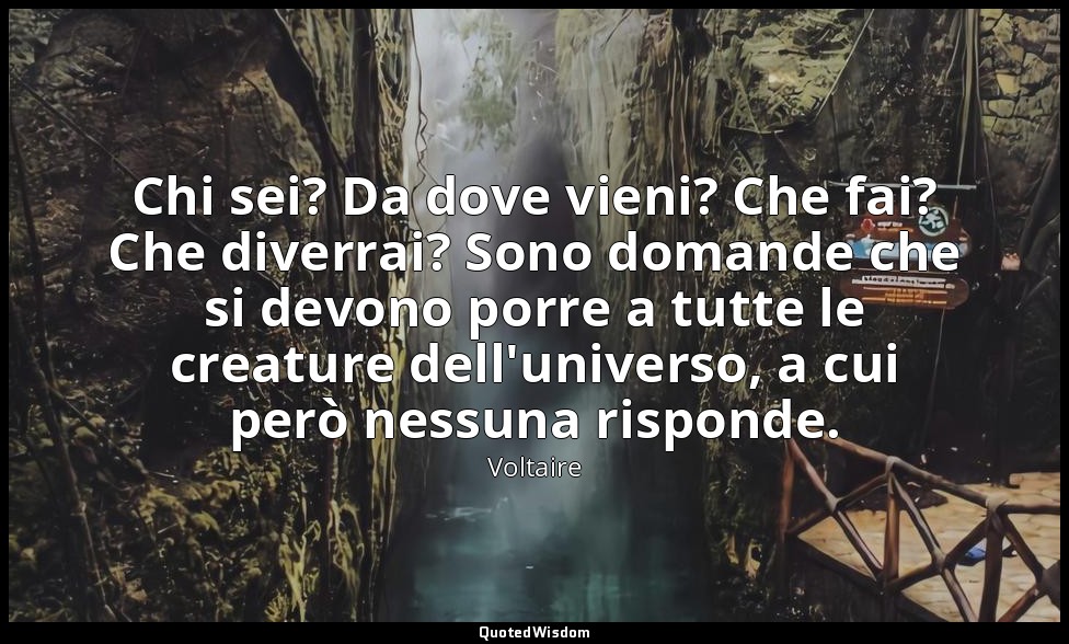 Chi sei? Da dove vieni? Che fai? Che diverrai? Sono domande che si devono porre  — Voltaire