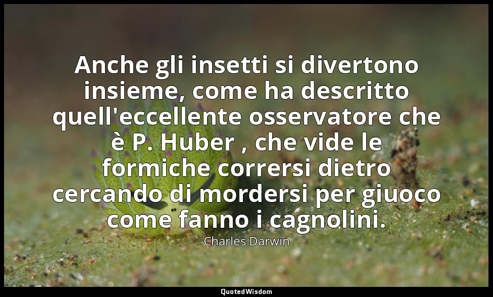 Anche gli insetti si divertono insieme, come ha descritto quell'eccellente osser — Charles Darwin