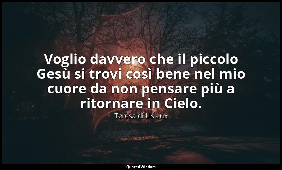 Voglio davvero che il piccolo Gesù si trovi così bene nel mio cuore da non pensa — Teresa di Lisieux