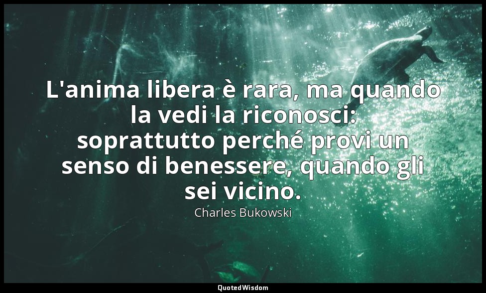 L'anima libera è rara, ma quando la vedi la riconosci: soprattutto perché provi  — Charles Bukowski