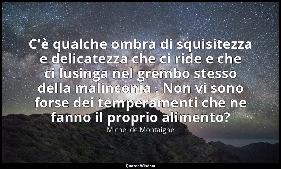 C'è qualche ombra di squisitezza e delicatezza che ci ride e che ci lusinga nel  — Michel de Montaigne