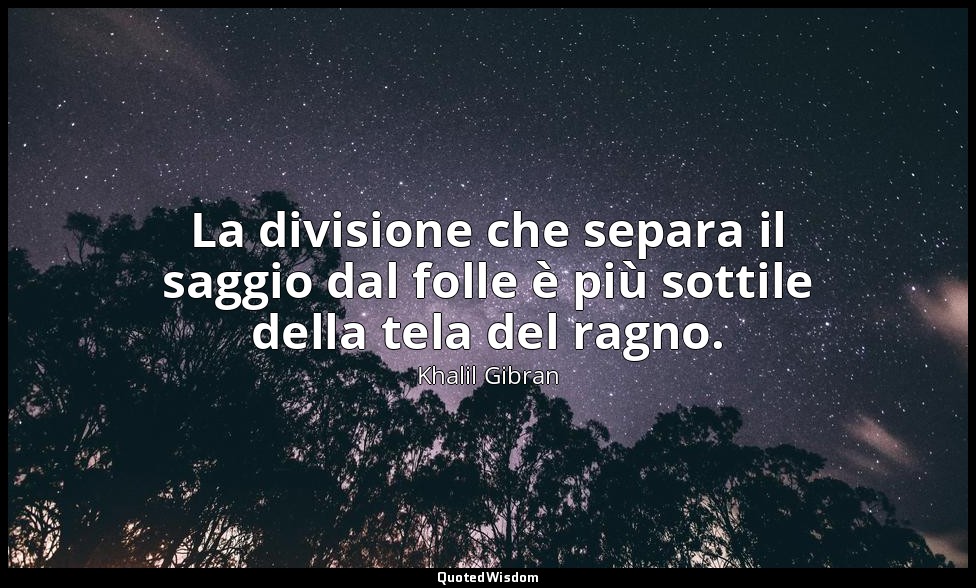 La divisione che separa il saggio dal folle è più sottile della tela del ragno. — Khalil Gibran