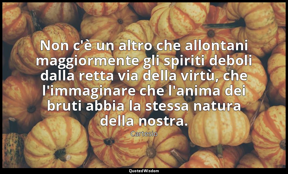 Non c'è un altro che allontani maggiormente gli spiriti deboli dalla retta via d — Cartesio