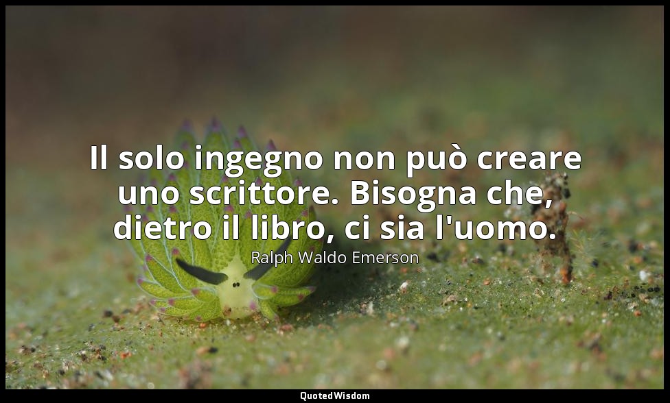 Il solo ingegno non può creare uno scrittore. Bisogna che, dietro il libro, ci s — Ralph Waldo Emerson