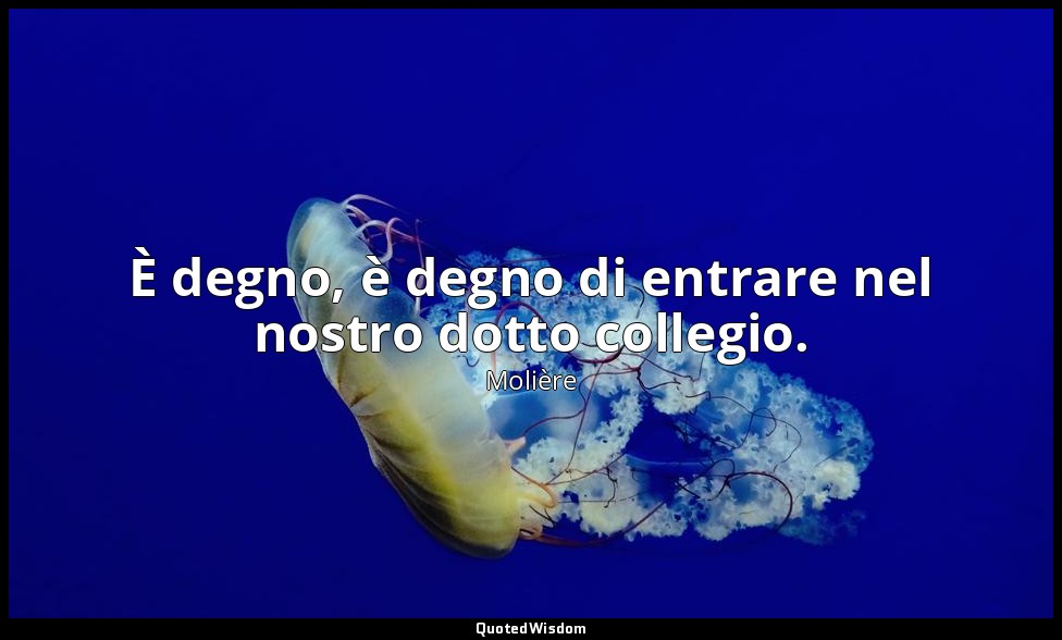 È degno, è degno di entrare nel nostro dotto collegio. — Molière
