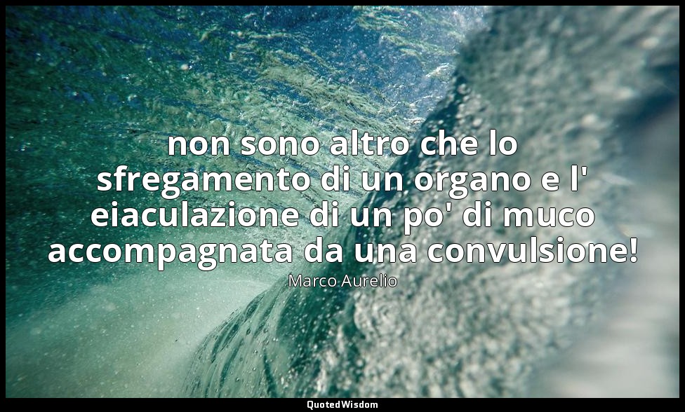 non sono altro che lo sfregamento di un organo e l' eiaculazione di un po' di mu — Marco Aurelio
