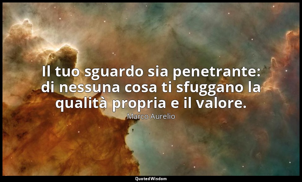 Il tuo sguardo sia penetrante: di nessuna cosa ti sfuggano la qualità propria e  — Marco Aurelio