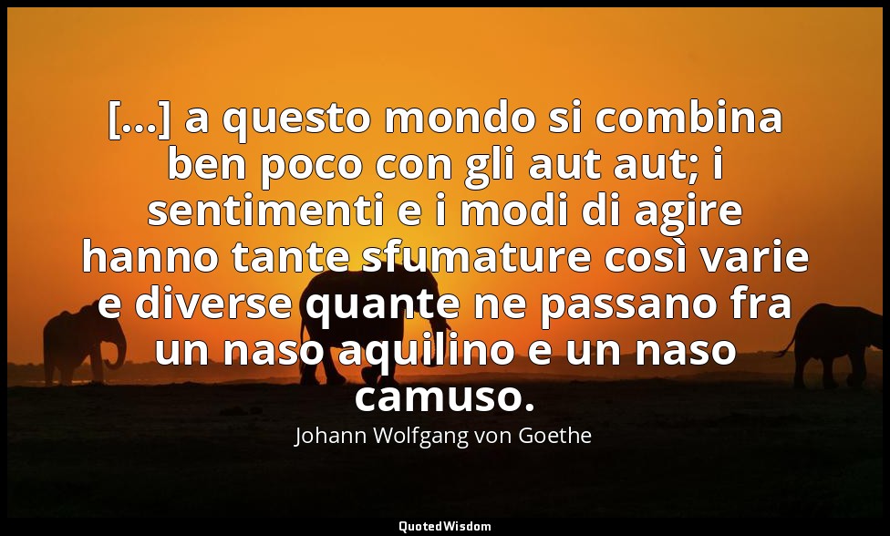 […] a questo mondo si combina ben poco con gli aut aut; i sentimenti e i modi di — Johann Wolfgang von Goethe