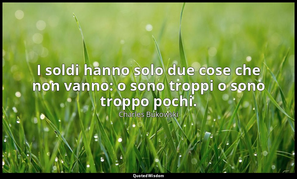 I soldi hanno solo due cose che non vanno: o sono troppi o sono troppo pochi. — Charles Bukowski