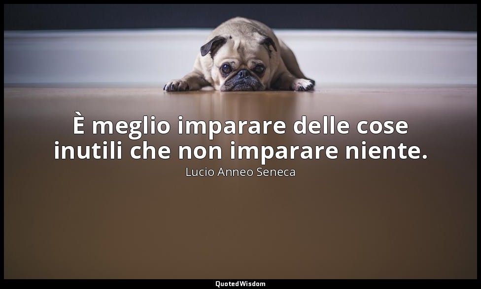 È meglio imparare delle cose inutili che non imparare niente. (88, 45) — Lucio Anneo Seneca
