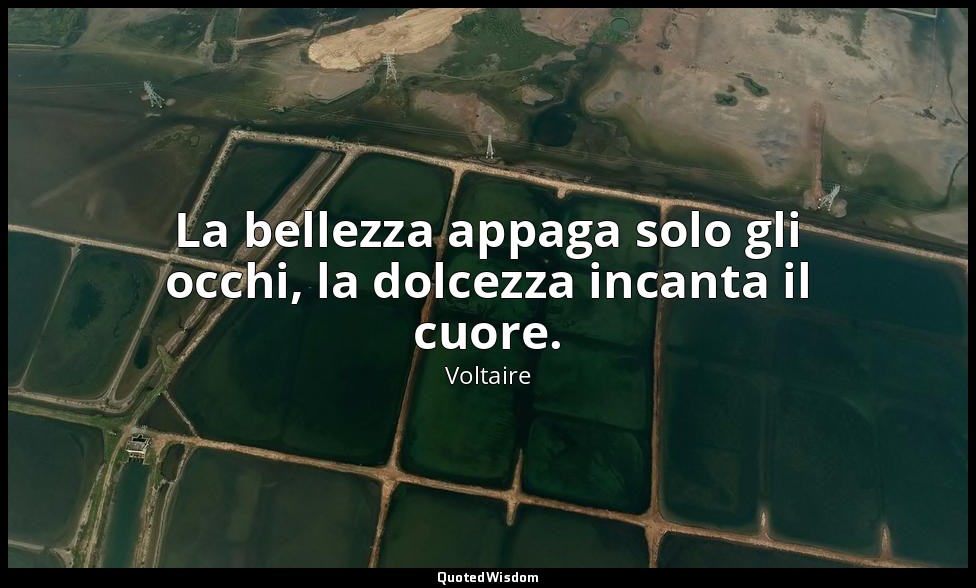 La bellezza appaga solo gli occhi, la dolcezza incanta il cuore. — Voltaire