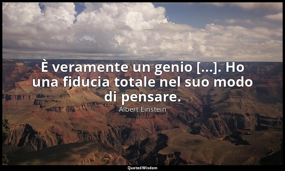 È veramente un genio [...]. Ho una fiducia totale nel suo modo di pensare. — Albert Einstein