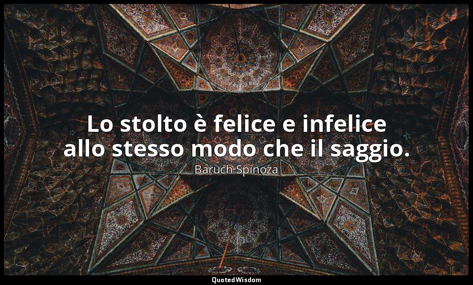 Lo stolto è felice e infelice allo stesso modo che il saggio. — Baruch Spinoza