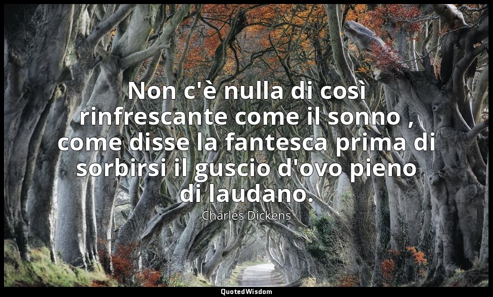 Non c'è nulla di così rinfrescante come il sonno , come disse la fantesca prima  — Charles Dickens
