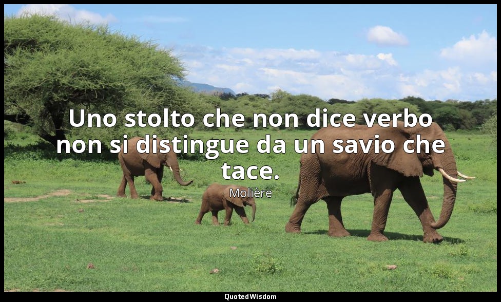 Uno stolto che non dice verbo non si distingue da un savio che tace. — Molière