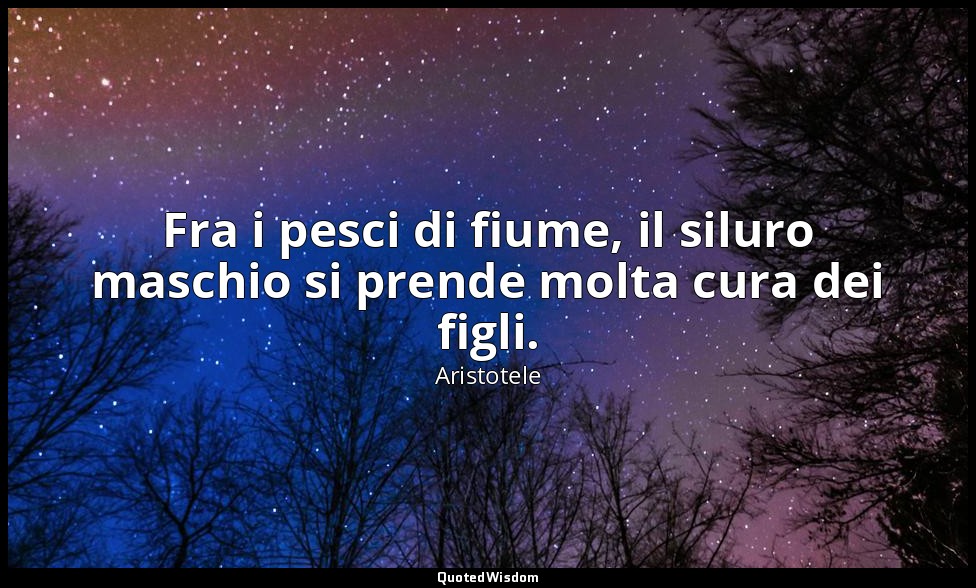Fra i pesci di fiume, il siluro maschio si prende molta cura dei figli. — Aristotele