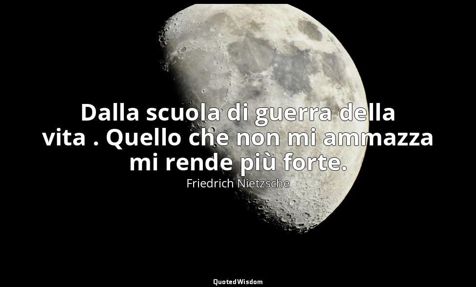 Dalla scuola di guerra della vita . Quello che non mi ammazza mi rende più forte — Friedrich Nietzsche