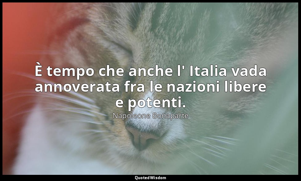 È tempo che anche l' Italia vada annoverata fra le nazioni libere e potenti. — Napoleone Bonaparte