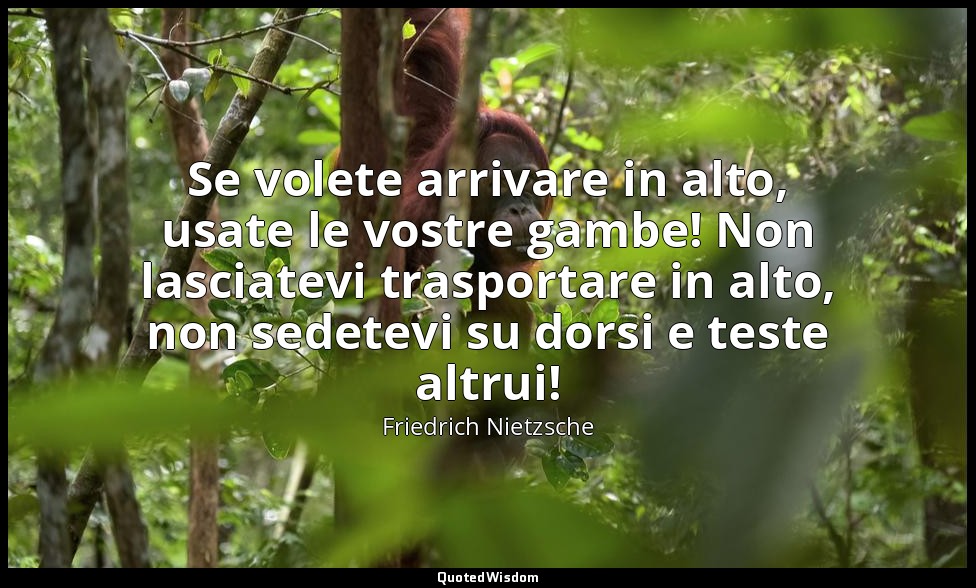 Se volete arrivare in alto, usate le vostre gambe! Non lasciatevi trasportare in — Friedrich Nietzsche
