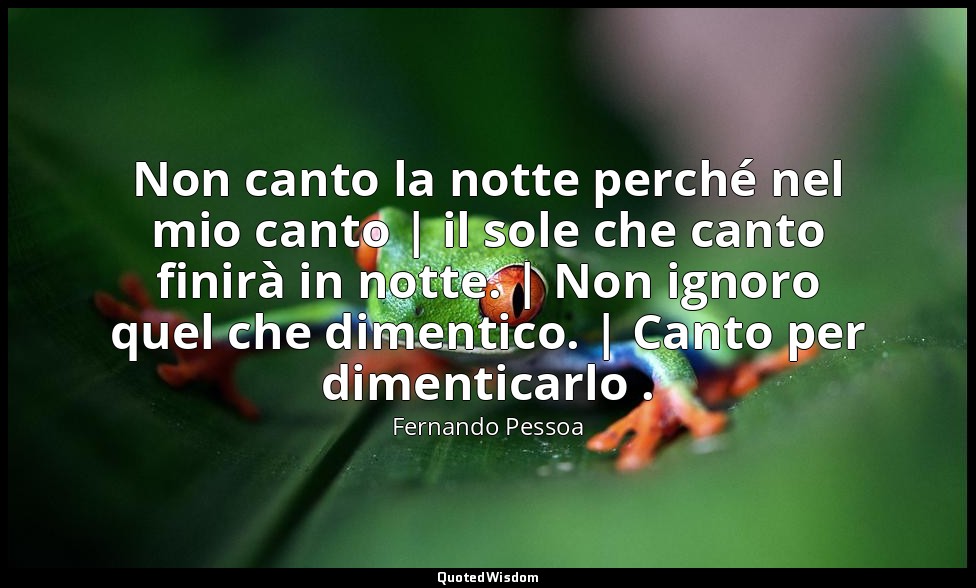 Non canto la notte perché nel mio canto | il sole che canto finirà in notte. | N — Fernando Pessoa